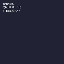 #212335 - Steel Gray Color Image